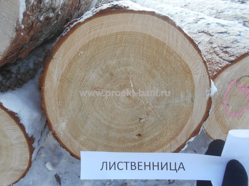 Бани из сибирского леса